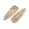 Natural Fossil Coral Pendants G-B187-01C-07-2