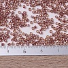 MIYUKI Delica Beads X-SEED-J020-DB0913-4