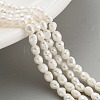 Natural Cultured Freshwater Pearl Beads Strands PEAR-P062-01A-1