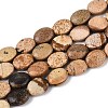 Natural Picture Jasper Beads Strands G-T142-30-4