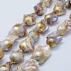 Natural Baroque Pearl Keshi Pearl Beads Strands PEAR-K004-22-1