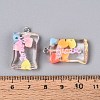 Transparent Resin Pendants RESI-T056-06-4
