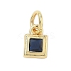 Brass Pave Cubic Zirconia Pendants LS-KK-K368-13G-05-1