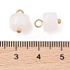 Acrylic Pendants MACR-C033-10A-3