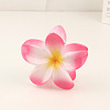 Plastic Claw Hair Clip LS-OHAR-PW0003-036E-1