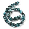 Dyed Natural Trochus Shell Beads Strands BSHE-Z006-02A-2