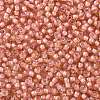 TOHO 11/0 Round Beads X-SEED-TR11-0924-2