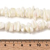 Natural White Mother of Pearl Shell Chip Bead Strands X-G-M205-63-6