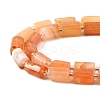 1 Strand Natural Orange Botswana Agate Beads Strands G-YW0002-44-2