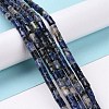 Natural Blue Spot Jasper Beads Strands G-G990-C12-2