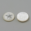 Natural Freshwater Shell Beads X-SHEL-Q011-008P-2