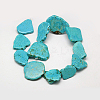 Nuggets Natural Howlite Beads Strands X-G-N0132-25-2