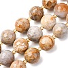 Natural Fossil Coral Beads Strands G-C249-A27-16MM-2