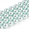 Glass Pearl Beads Strands HY-G002-01E-12-1