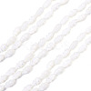 2 Strands Natural Trochus Shell Beads Strands SHEL-TA0001-20-2
