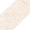 Natural Cultured Freshwater Pearl Beads Strands PEAR-D003-01D-03-2