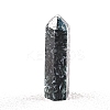 Point Tower Natural Moss Agate Home Display Decoration PW-WG04107-58-1