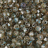Picasso Glass Seed Beads SEED-N011-02C-2