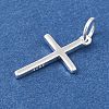 925 Sterling Silver Pendants STER-G043-01S-1-2