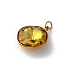 316 Stainless Steel Faceted Glass Pendants STAS-K258-47G-04-2