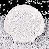 Opaque Colours Luster Glass Seed Beads SEED-T006-02L-1