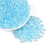 Transparent Colours Glass Seed Beads SEED-Q042-01A-A08-1