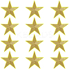 12Pcs Star Shape Cloth Embroidery Applqiues PATC-GF0001-33B-1