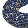 Natural Sodalite Beads Strands G-A260-A19-01-3