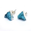 Natural Druzy Quartz Crystal Stud Earring EJEW-F173-E02-S-2