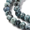 Natural Sesame Jasper Beads Strands G-K380-A18-01-4