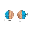 Transparent Resin & Walnut Wood Pendants RESI-CJ0001-84-2