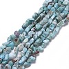 Natural Larimar Beads Strands LS-G-K203-91-1