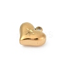 304 Stainless Steel Pendants STAS-L283-23G-2