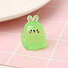 Luminous Resin 3D Rabbit Ornaments LUMI-PW0004-025D-1