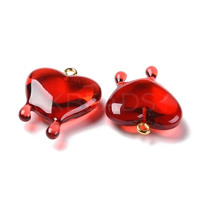 Transparent Resin Pendants RESI-F028-01-1