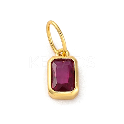 925 Sterling Silver Cubic Zirconia Charms STER-NH0014-01G-07-1