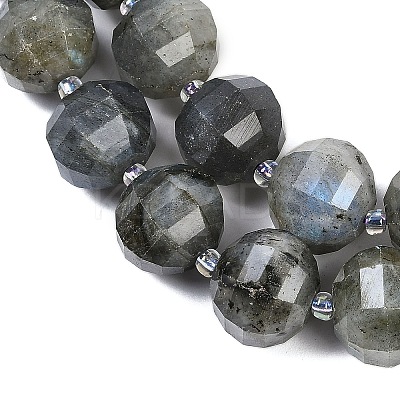 Natural Labradorite Beads Strands G-G182-B02-07-1