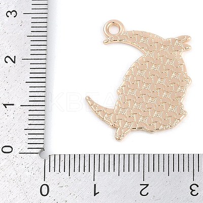 Alloy Pendants ENAM-R004-03KCG-04-1