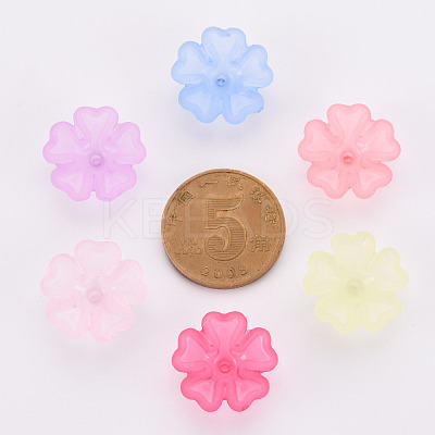Transparent Frosted Acrylic Bead Caps MACR-S371-04A-1