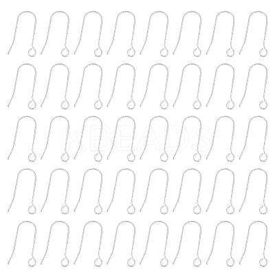 100Pcs 316 Stainless Steel Earring Hooks STAS-UN0041-94-1