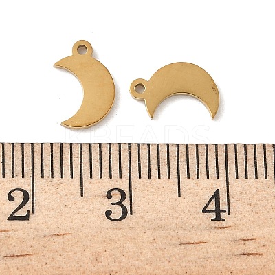 304 Stainless Steel Charms STAS-K306-17B-G-1
