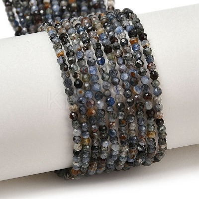 Natural Kyanite/Cyanite/Disthene Beads Strands G-D347-A02-2mm-1