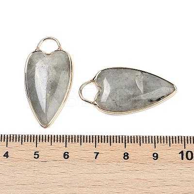 Natural Labradorite Pendants G-G193-02G-05-1