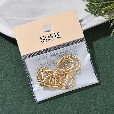 SHEGRACE Brass Hoop Earrings Findings XGR0157G-87G-1