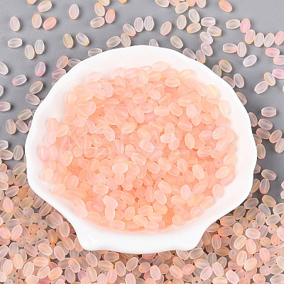 Frosted Glass Seed Beads SEED-N008-05A-1