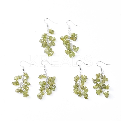 Dangle Earrings EJEW-E255-A11-1