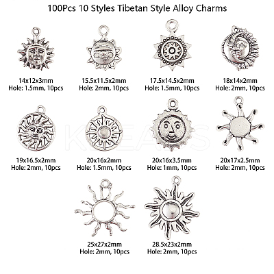 100Pcs 10 Styles Tibetan Style Alloy Charms TIBEP-CJ0001-59-1