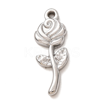 304 Stainless Steel Pendants SA-CBAB6EC-19P-02-1
