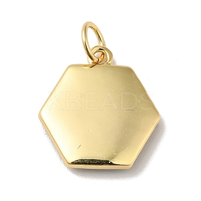 Rack Plating Brass Enamel Pendants KK-H431-10G-1