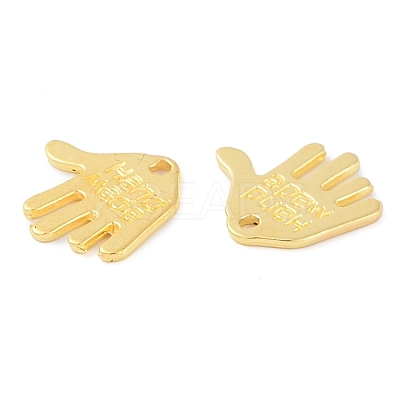 Tibetan Style Alloy Charms X-K095I012-1
